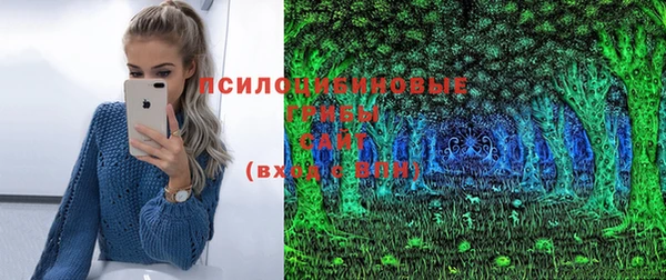 шишки Кодинск