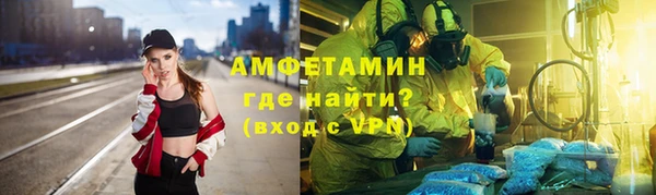 шишки Кодинск