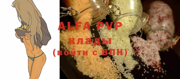 шишки Кодинск