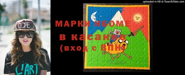 шишки Кодинск