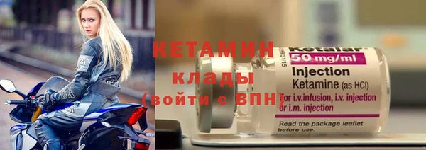 шишки Кодинск
