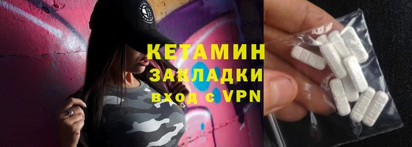 шишки Кодинск