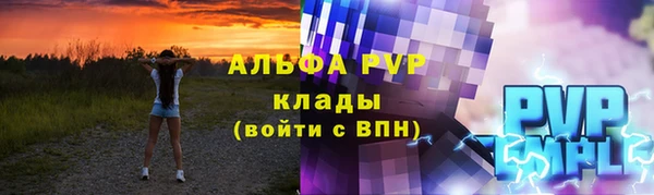 шишки Кодинск