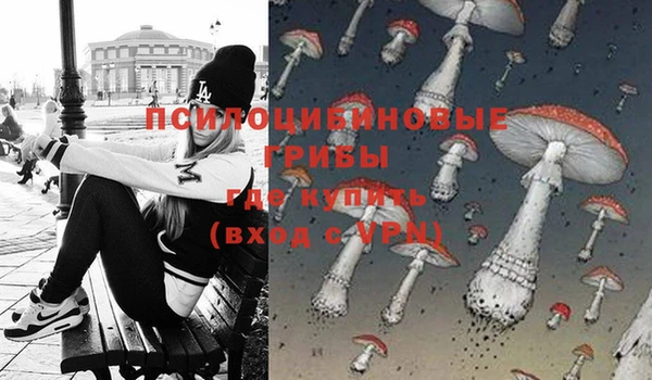 скорость Козловка