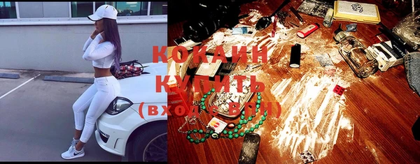 шишки Кодинск