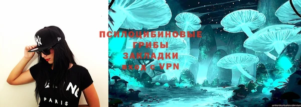 шишки Кодинск