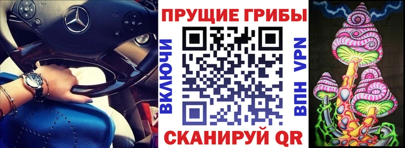 Купить где  Саки  Галлюциногенные грибы GOLDEN TEACHER 